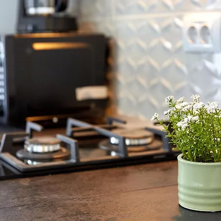 Exterior ママイア